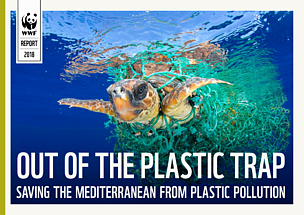 Out of the plastic trap: saving the Mediterranean from plastic pollution
